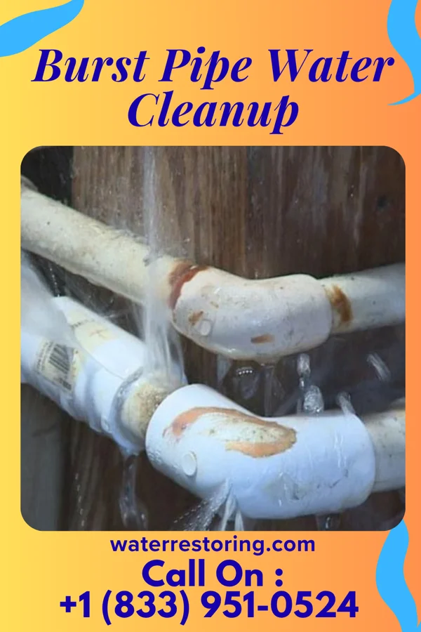 Burst Pipe Water Cleanup in Mercersville, MD