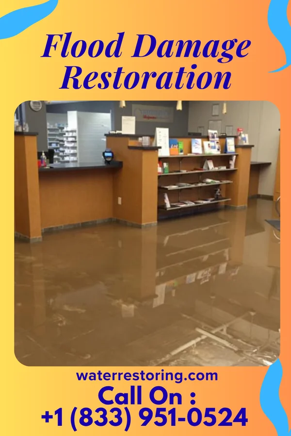 Flood Damage Restoration in Mercersville, MD