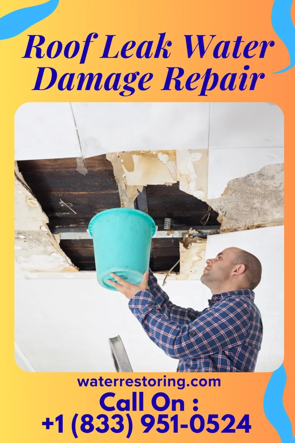 Roof Leak Water Damage Repair in Mercersville, MD