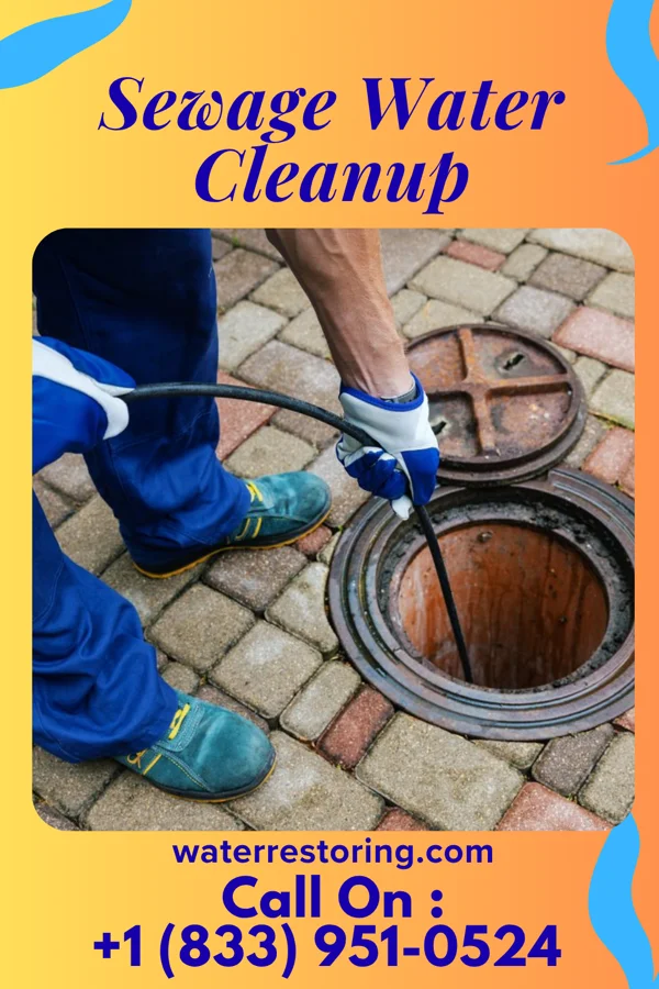 Sewage Water Cleanup in Mercersville, MD