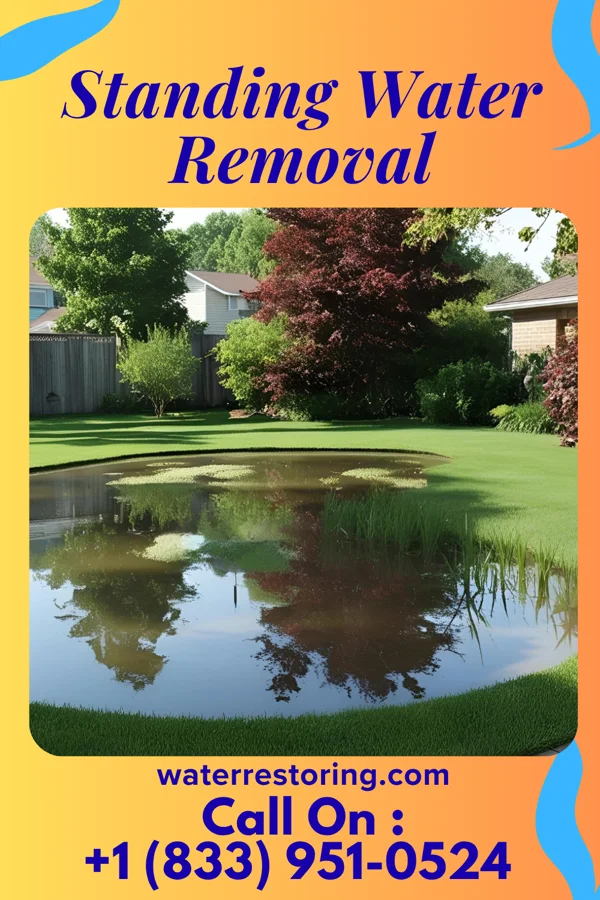 Standing Water Removal in Mercersville, MD